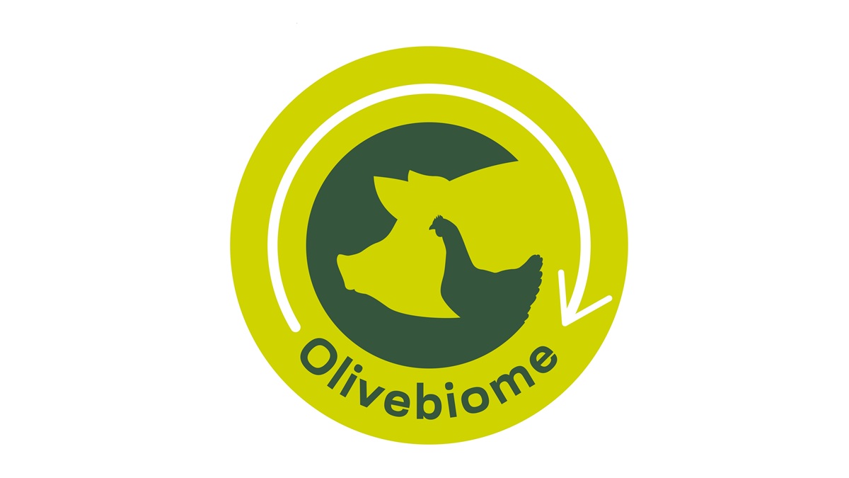 feuga olivebiome_page-0001